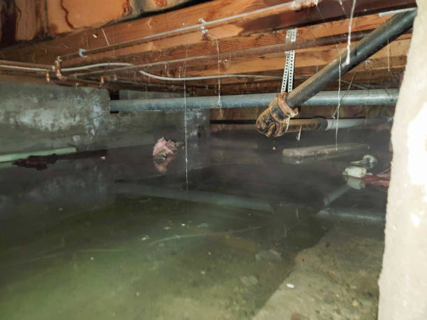 Fire Damage Restoration in MA
