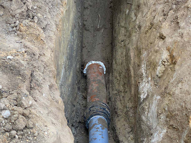 Best Flood restoration services  in Dennis Port, MA