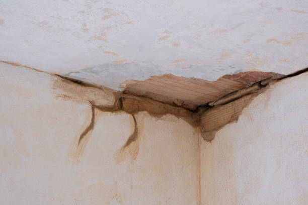  Dennis Port, MA Water damage restoration Pros