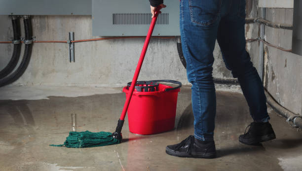 Best Basement water damage restoration  in Dennis Port, MA