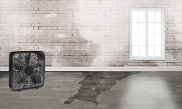 Best Local water damage restoration  in Dennis Port, MA