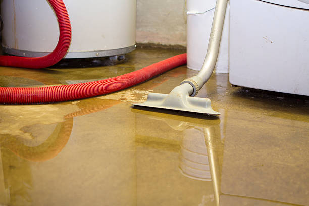 Best Flooded house restoration  in Dennis Port, MA