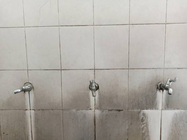 Best Professional water damage repair  in Dennis Port, MA